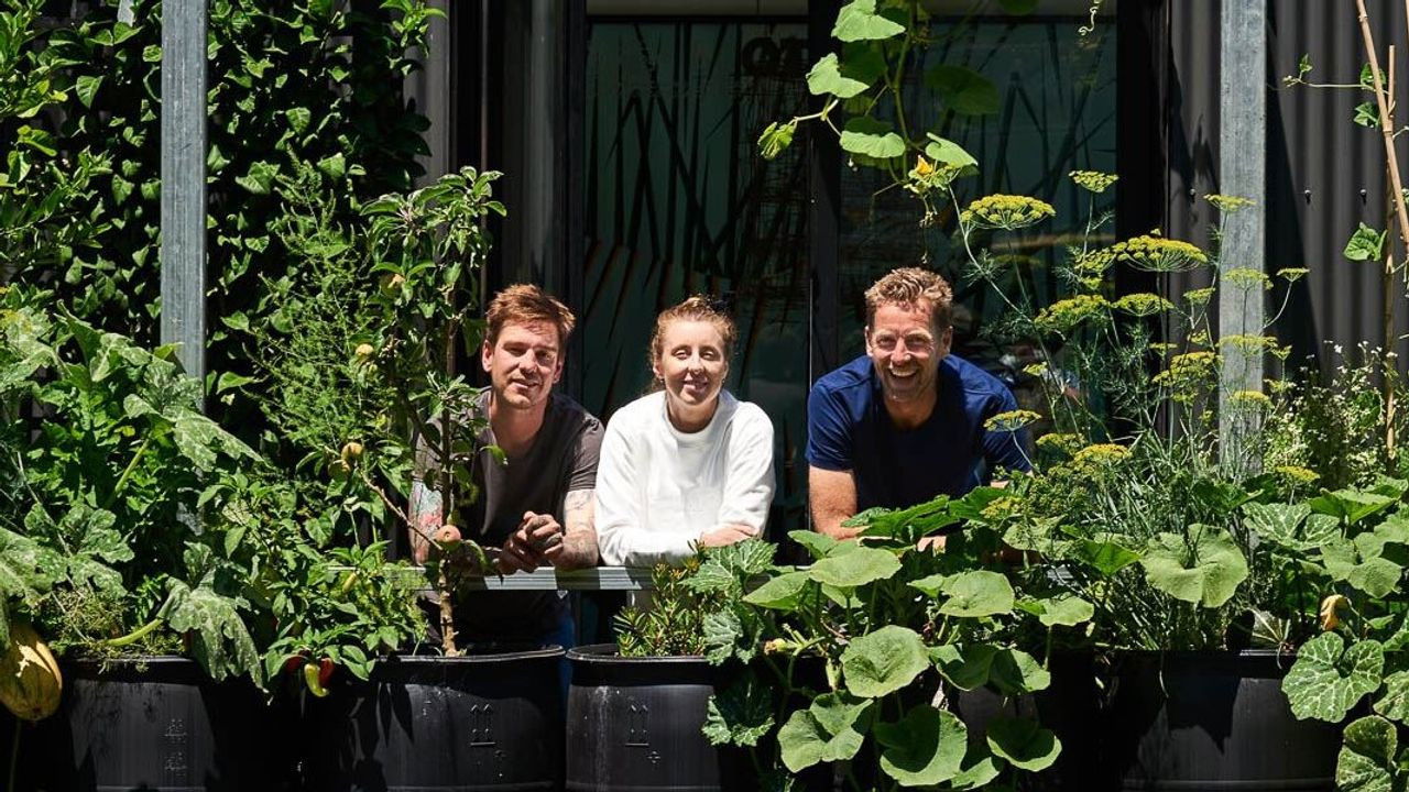 Backdrop for Greenhouse by Joost