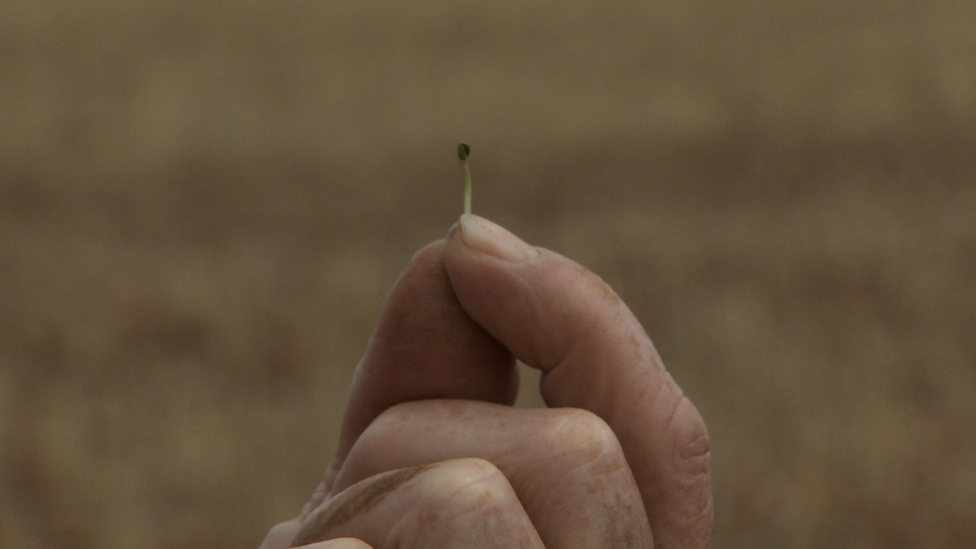 Backdrop for Without Water