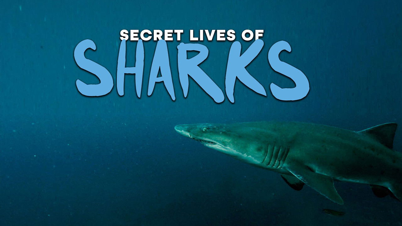 Backdrop for The Secret Lives of Sharks