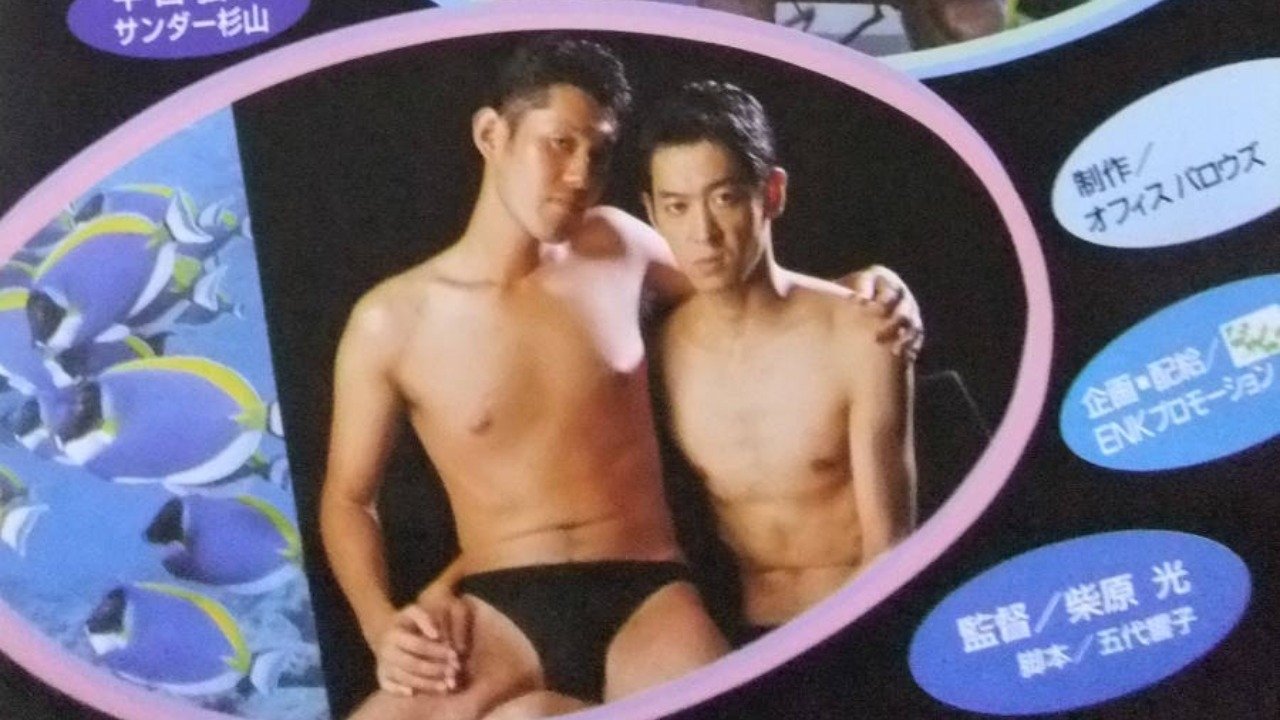 Backdrop for Dolphins return to the sea