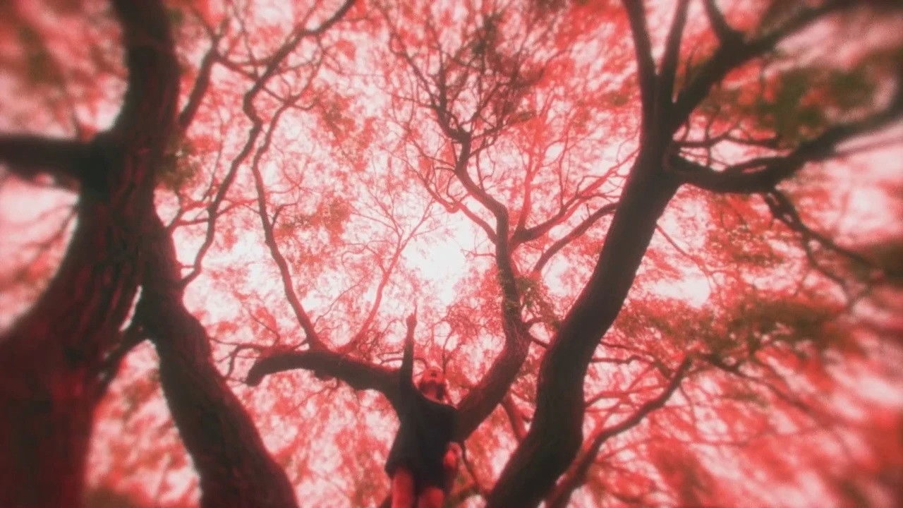 Backdrop for A Little More Flesh