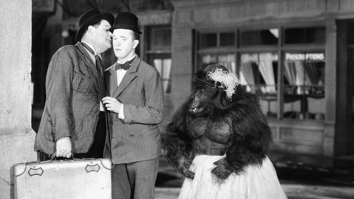 Backdrop for The Chimp