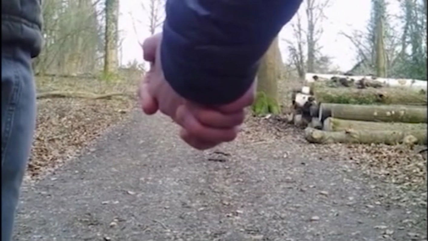 Backdrop for The Terror of Whippendell Wood