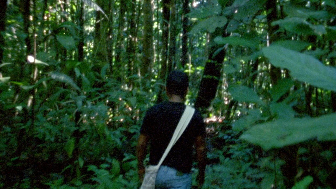 Backdrop for The Labyrinth