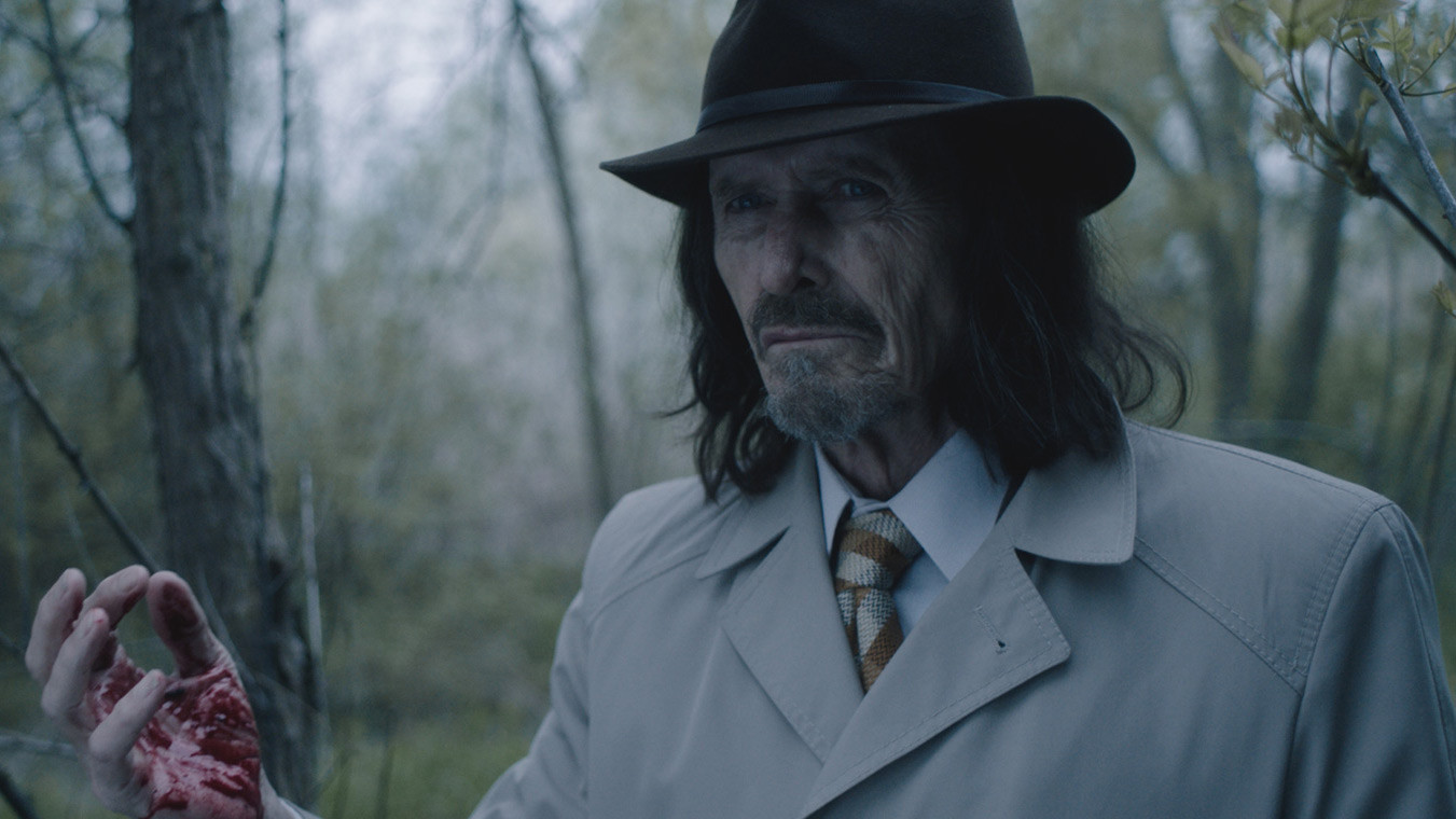 Backdrop for Dreamland