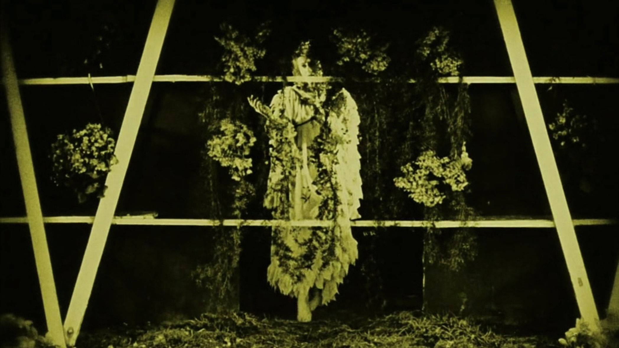 Backdrop for Miracle of Flowers