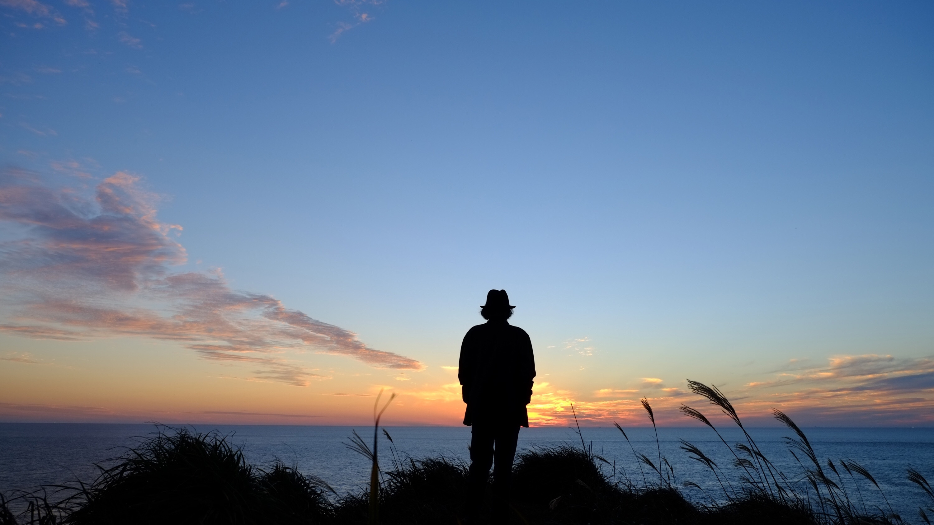 Backdrop for The Sea of Itami Jun