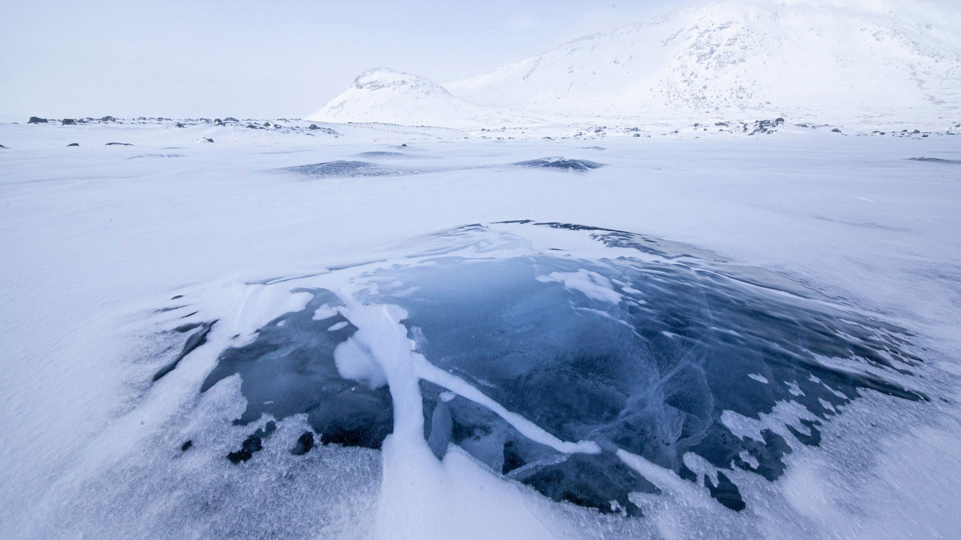 Backdrop for Isöken