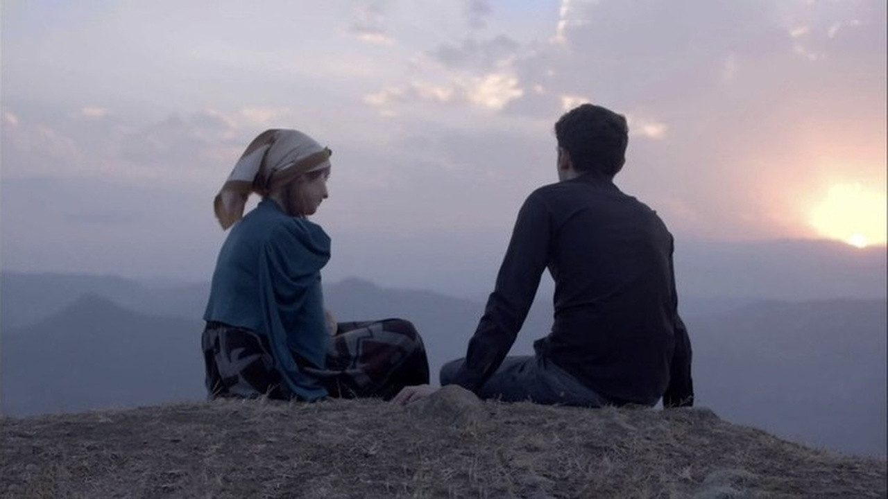 Backdrop for Sholler's Archive