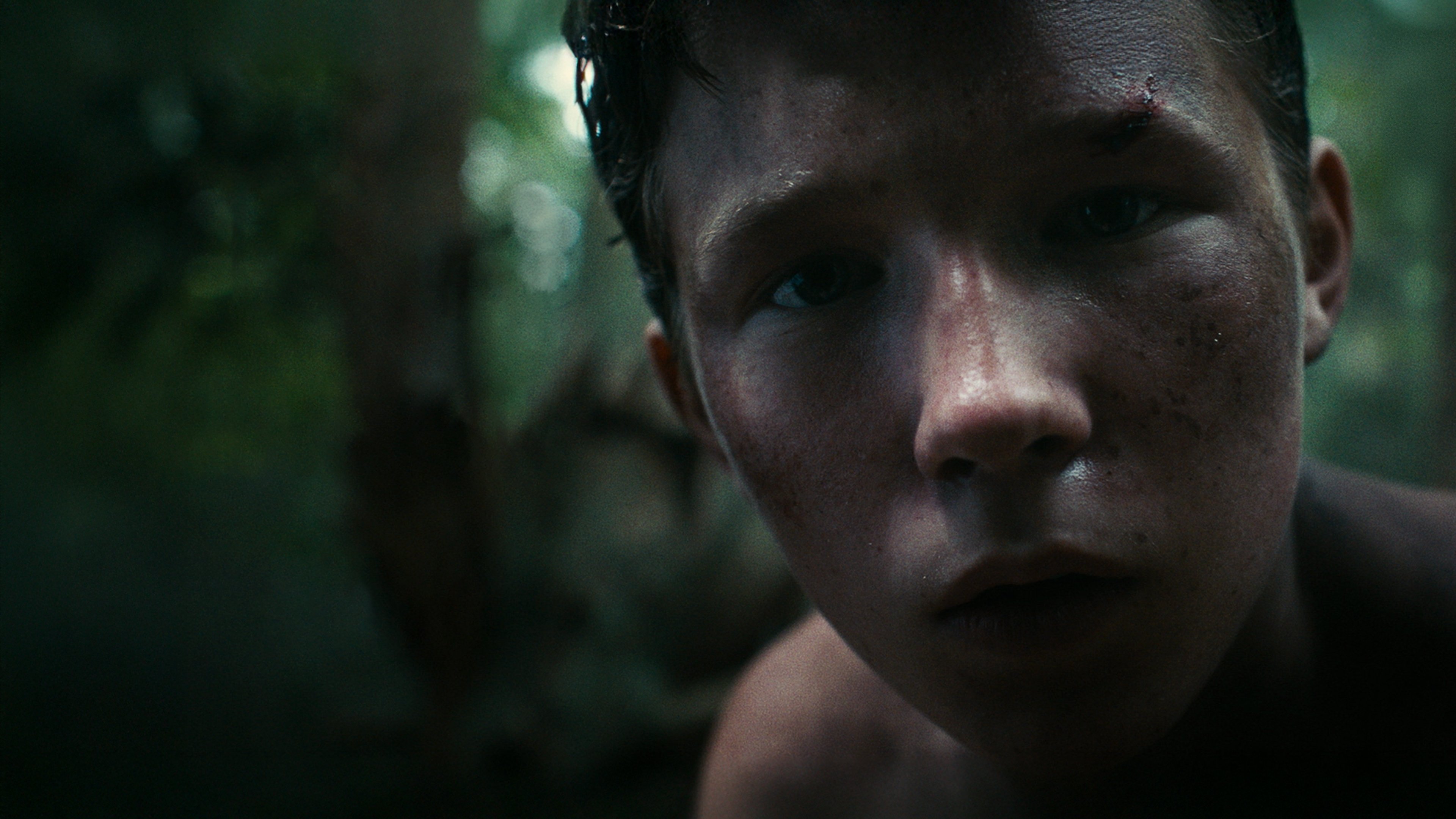 Backdrop for Lost on a Mountain in Maine