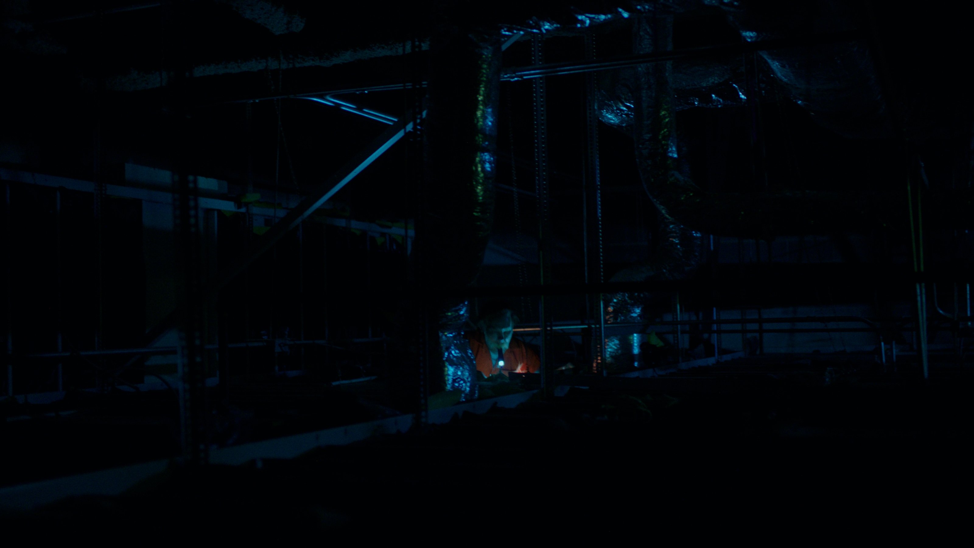 Backdrop for The Walls