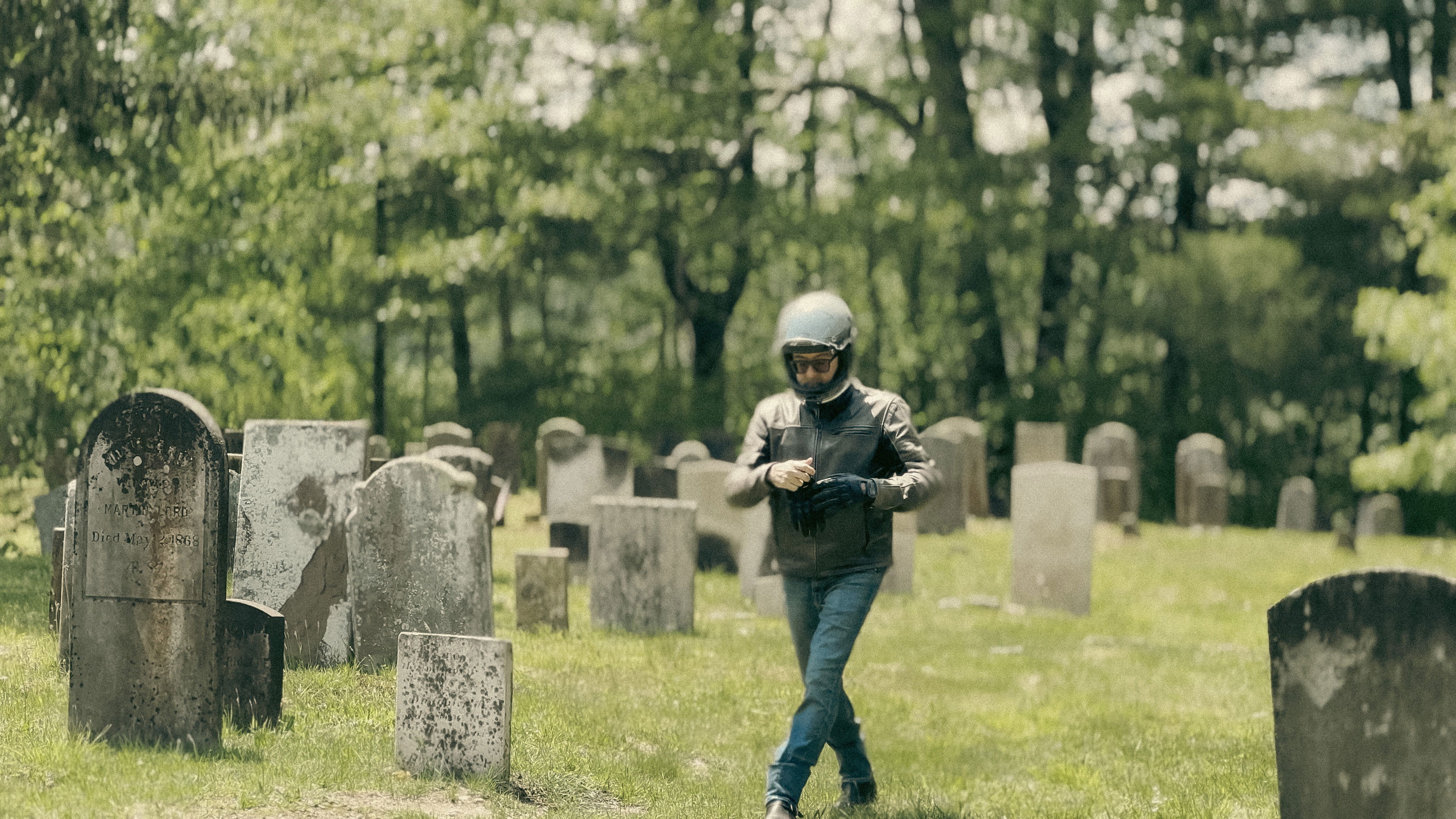 Backdrop for Let the Moon Be My Moon