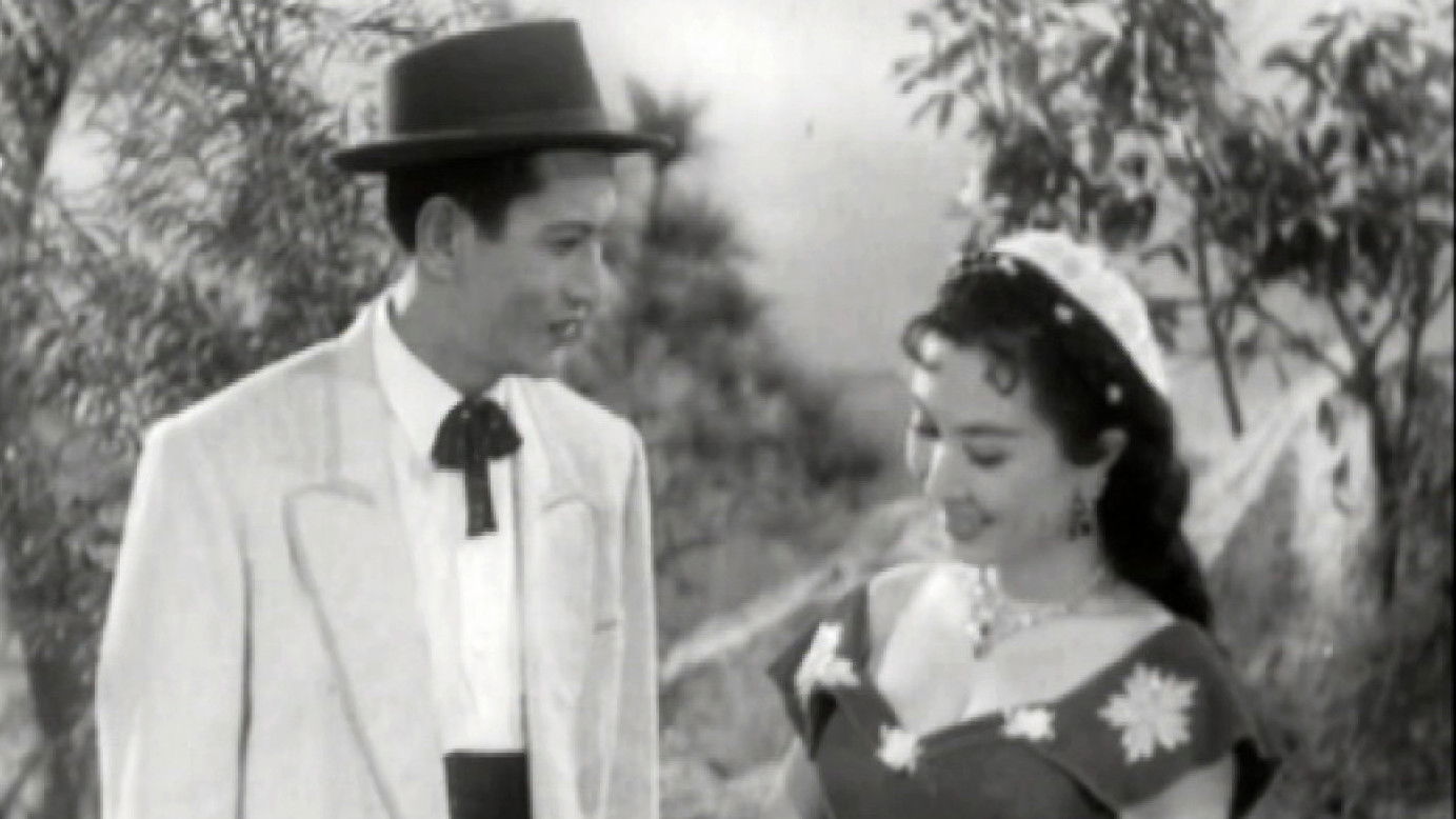 Backdrop for The Prince's Romantic Affairs