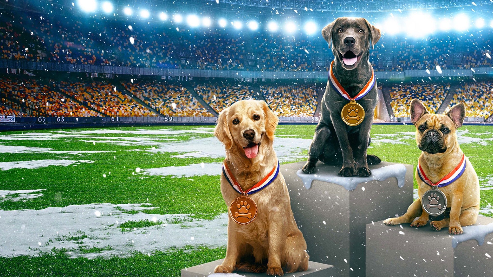 Backdrop for Puppy Bowl Presents: The Winter Games