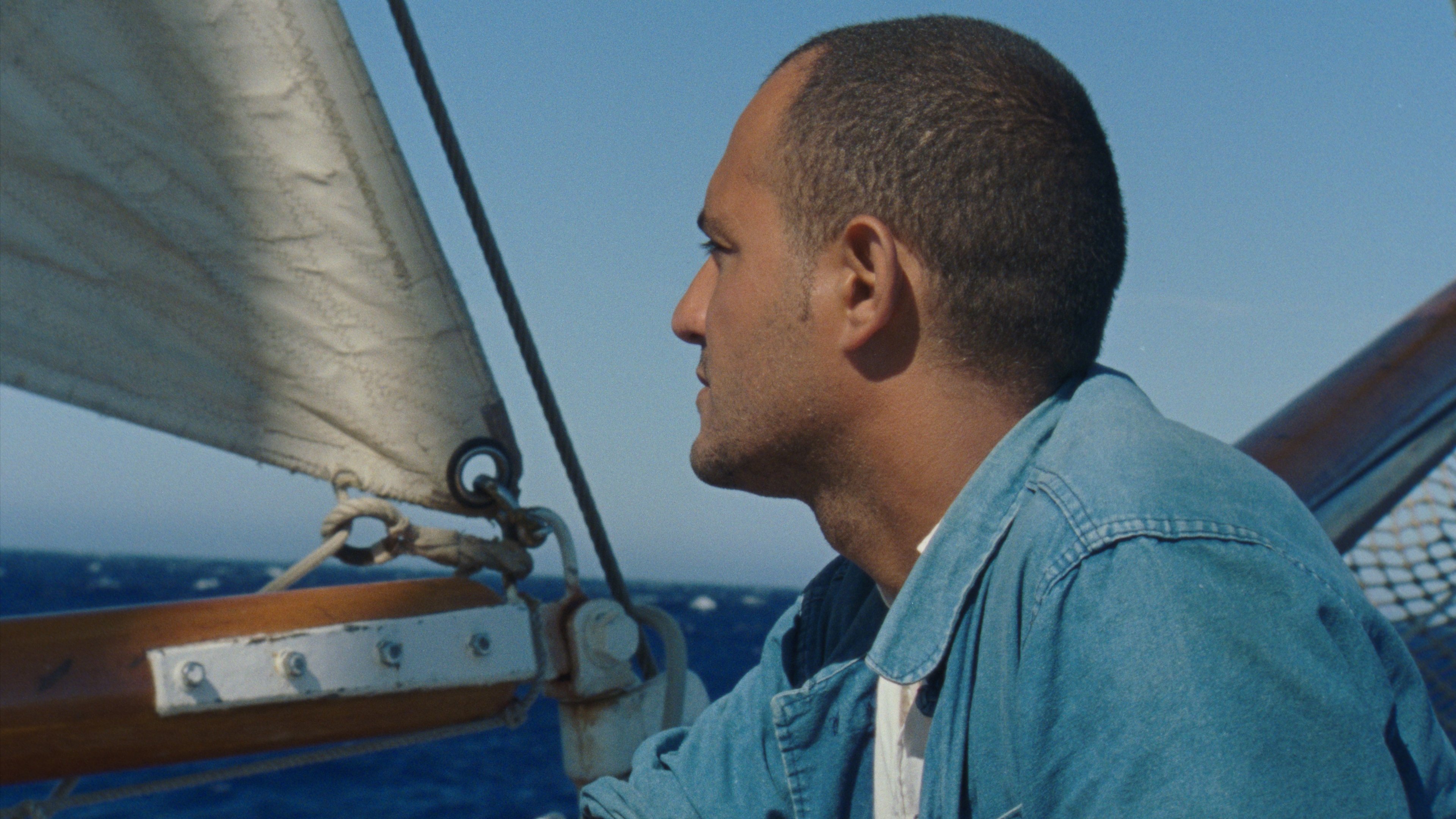 Backdrop for Human Flowers of Flesh