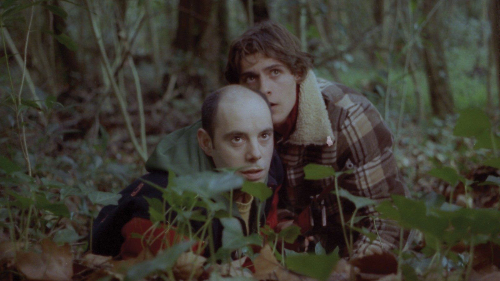 Backdrop for The Face You Deserve