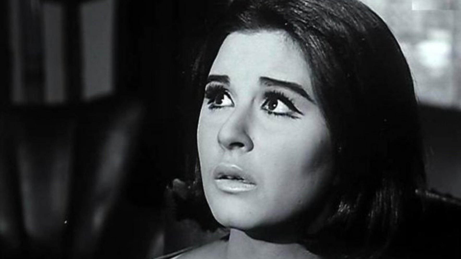 Backdrop for The Road