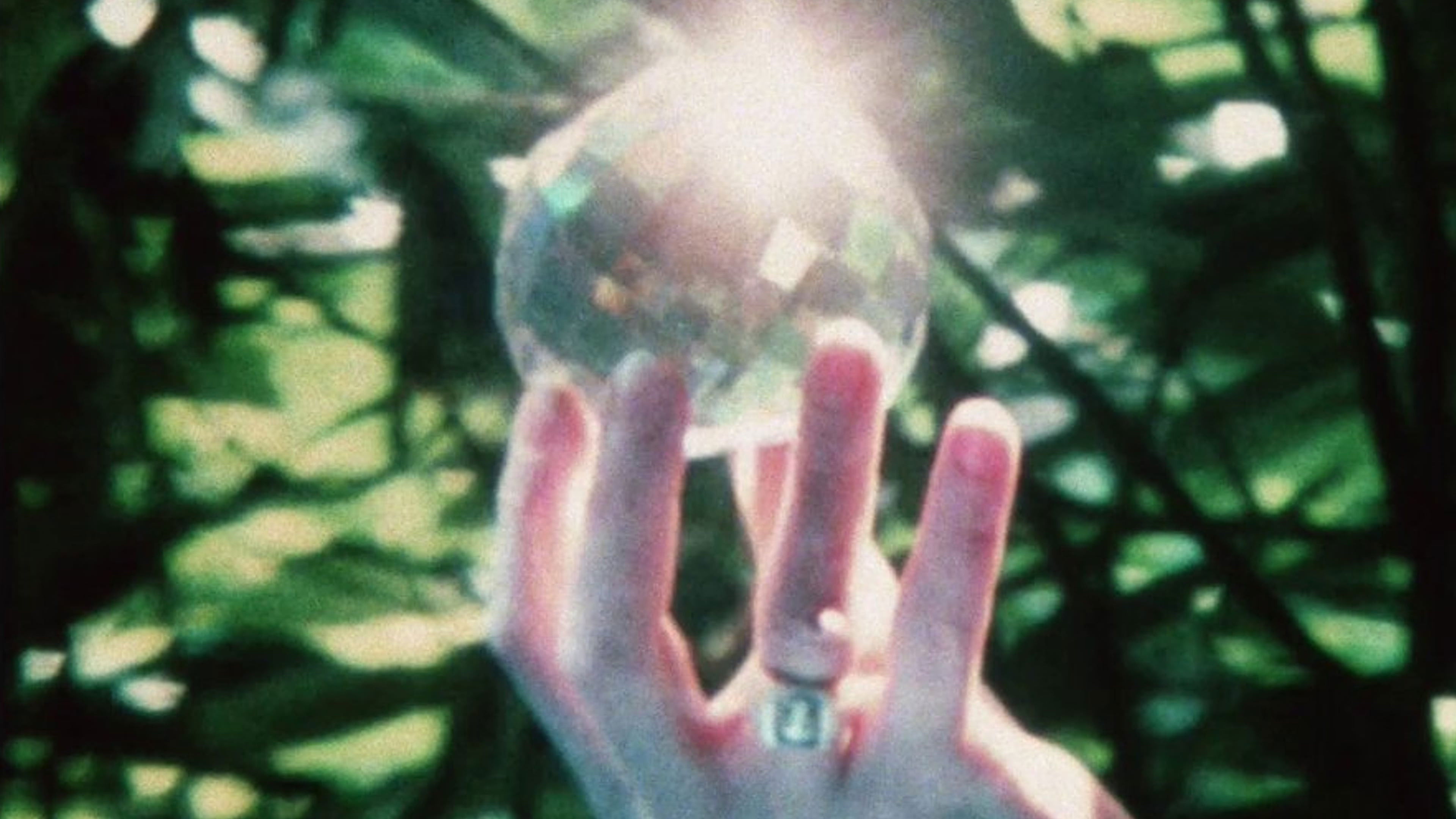 Backdrop for Cristaux