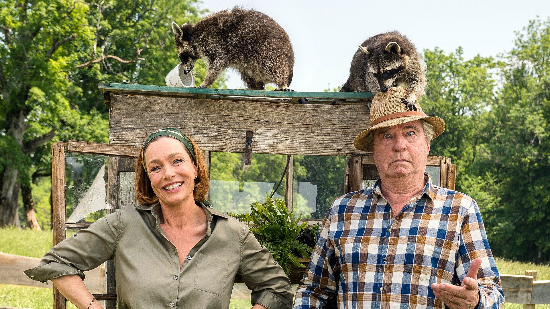 Backdrop for Zimmer mit Stall - Die Waschbären sind los