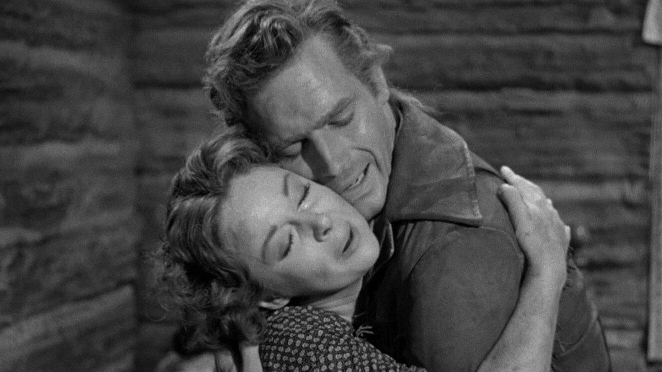 Backdrop for The President's Lady