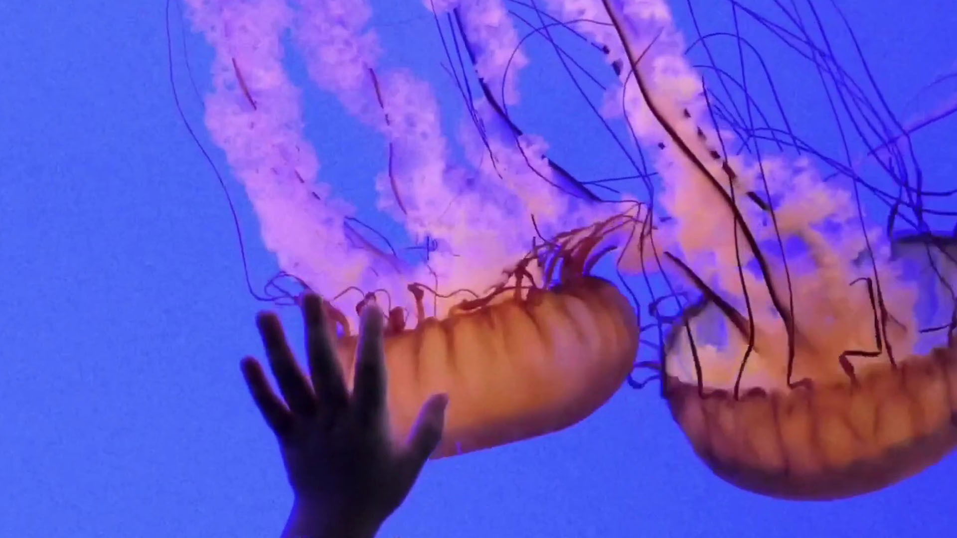 Backdrop for What We Leave Behind