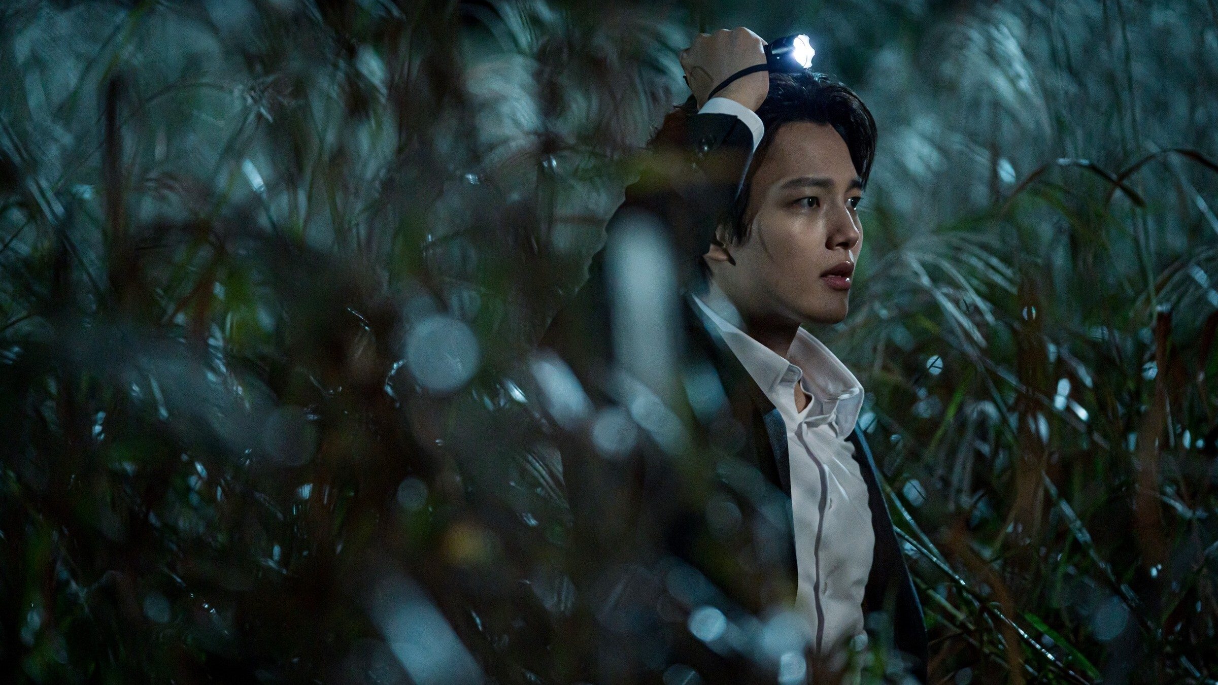 Backdrop for Beyond Evil