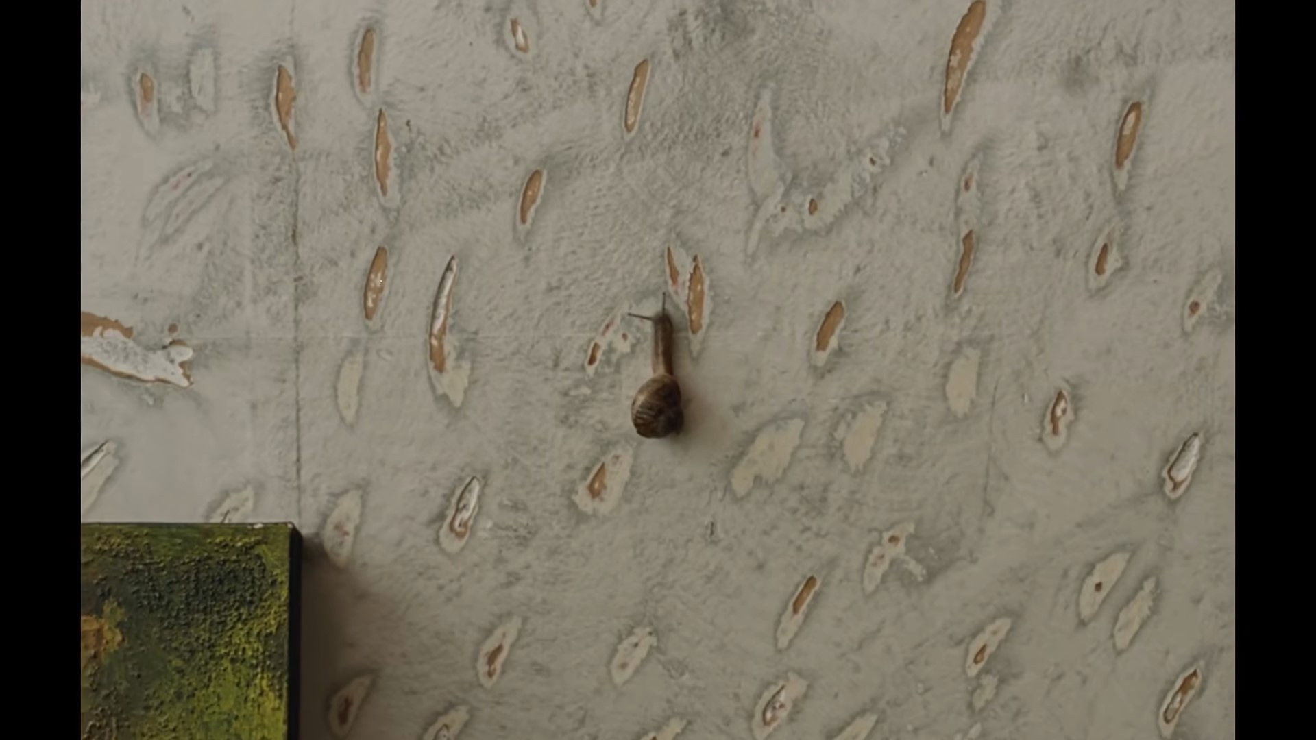 Backdrop for The Mark On The Wall