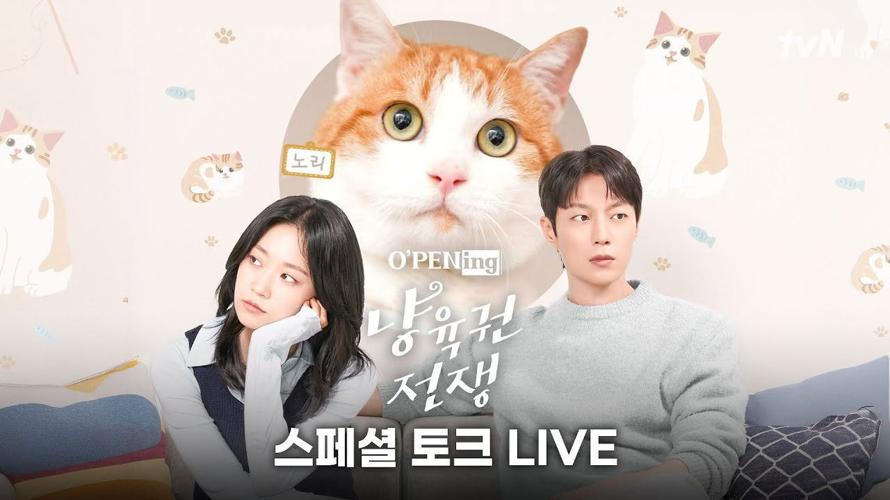 Backdrop for O'PENing 2025: The Catstody War