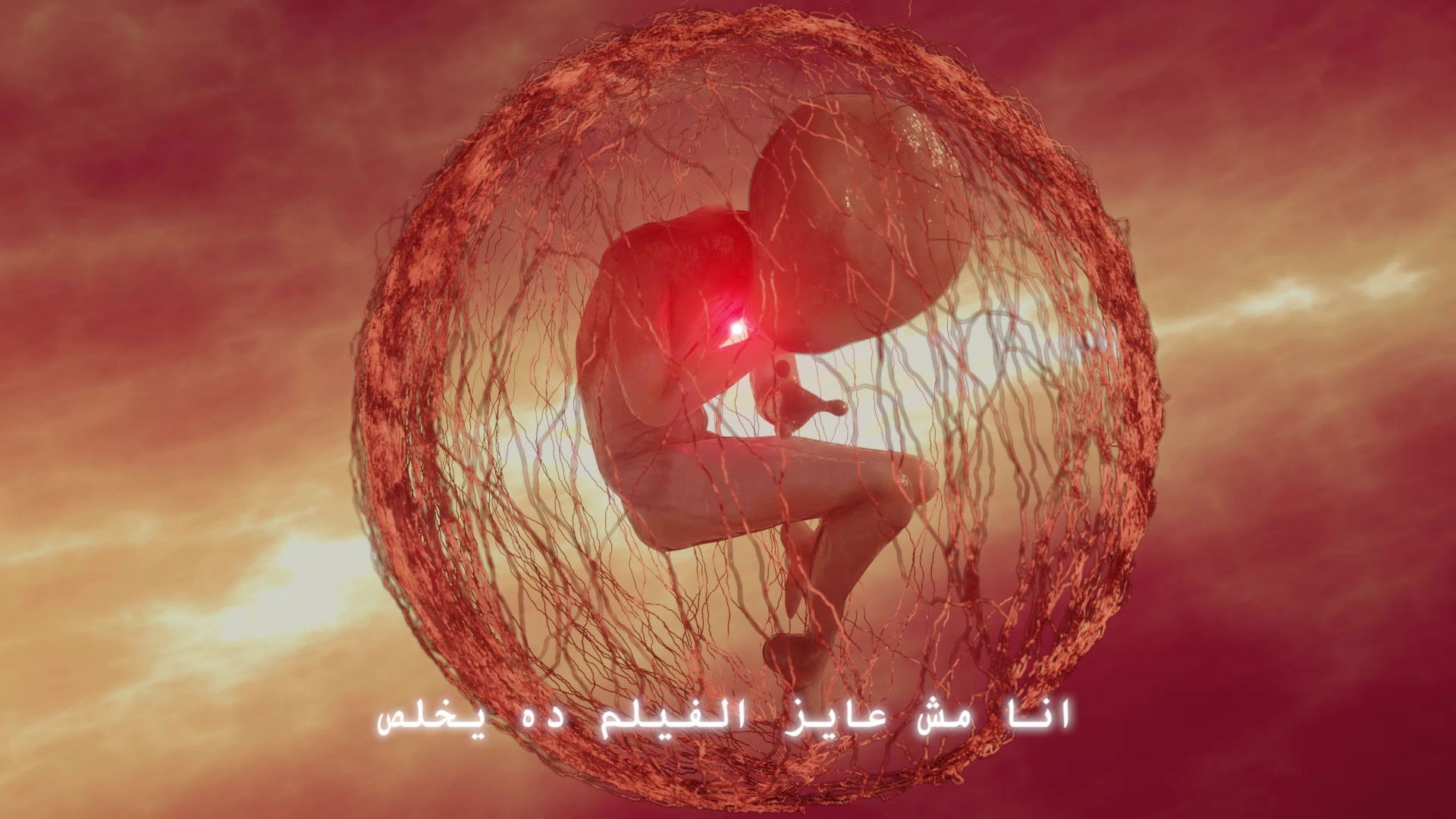 Backdrop for Spring Flowers of Distant Days