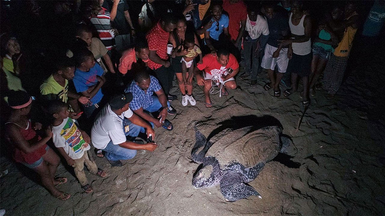 Backdrop for Cacu: A Change for Life