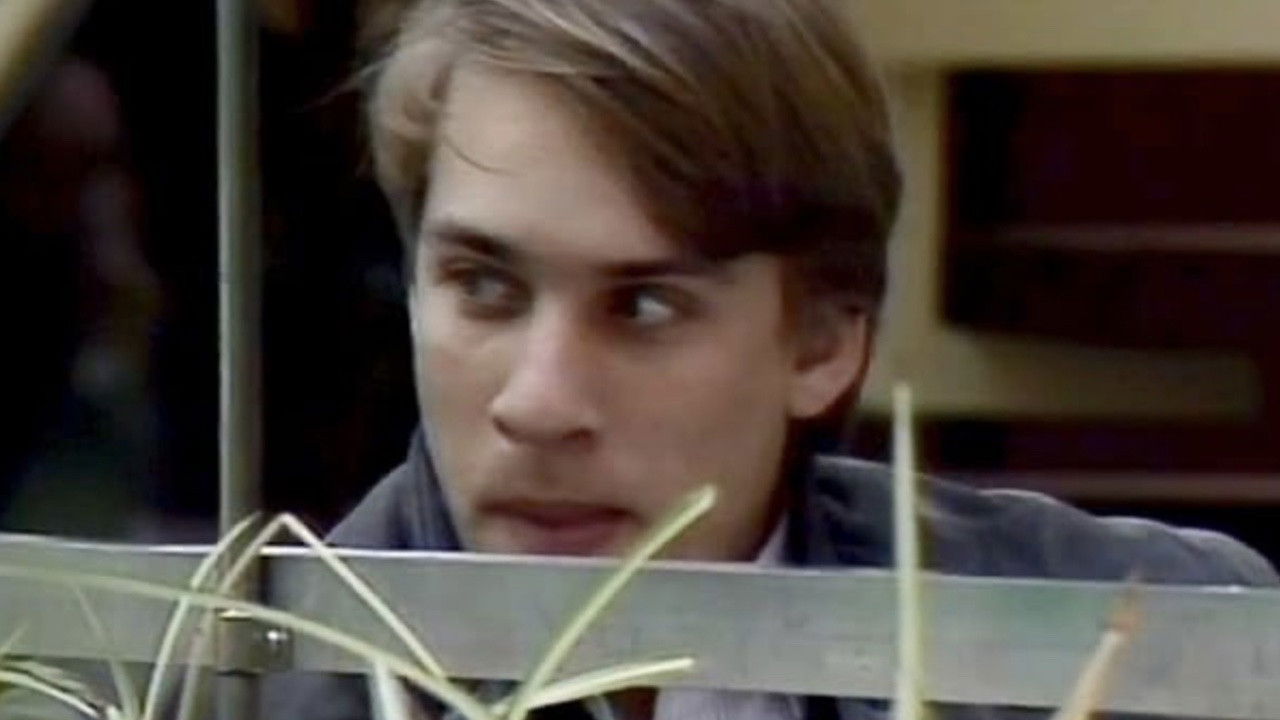 Backdrop for Mikkels motiver