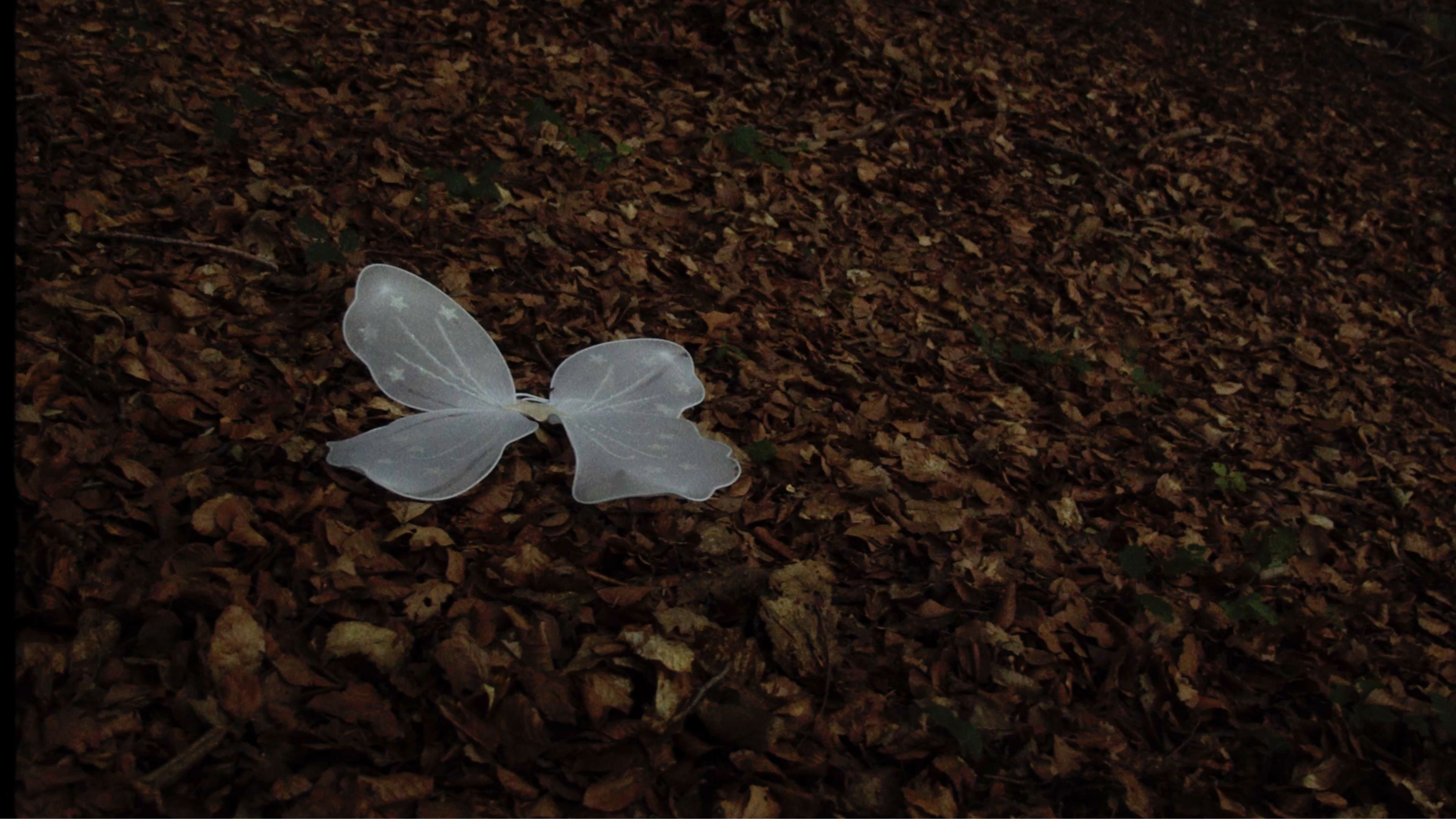 Backdrop for Quan ningú ens mira