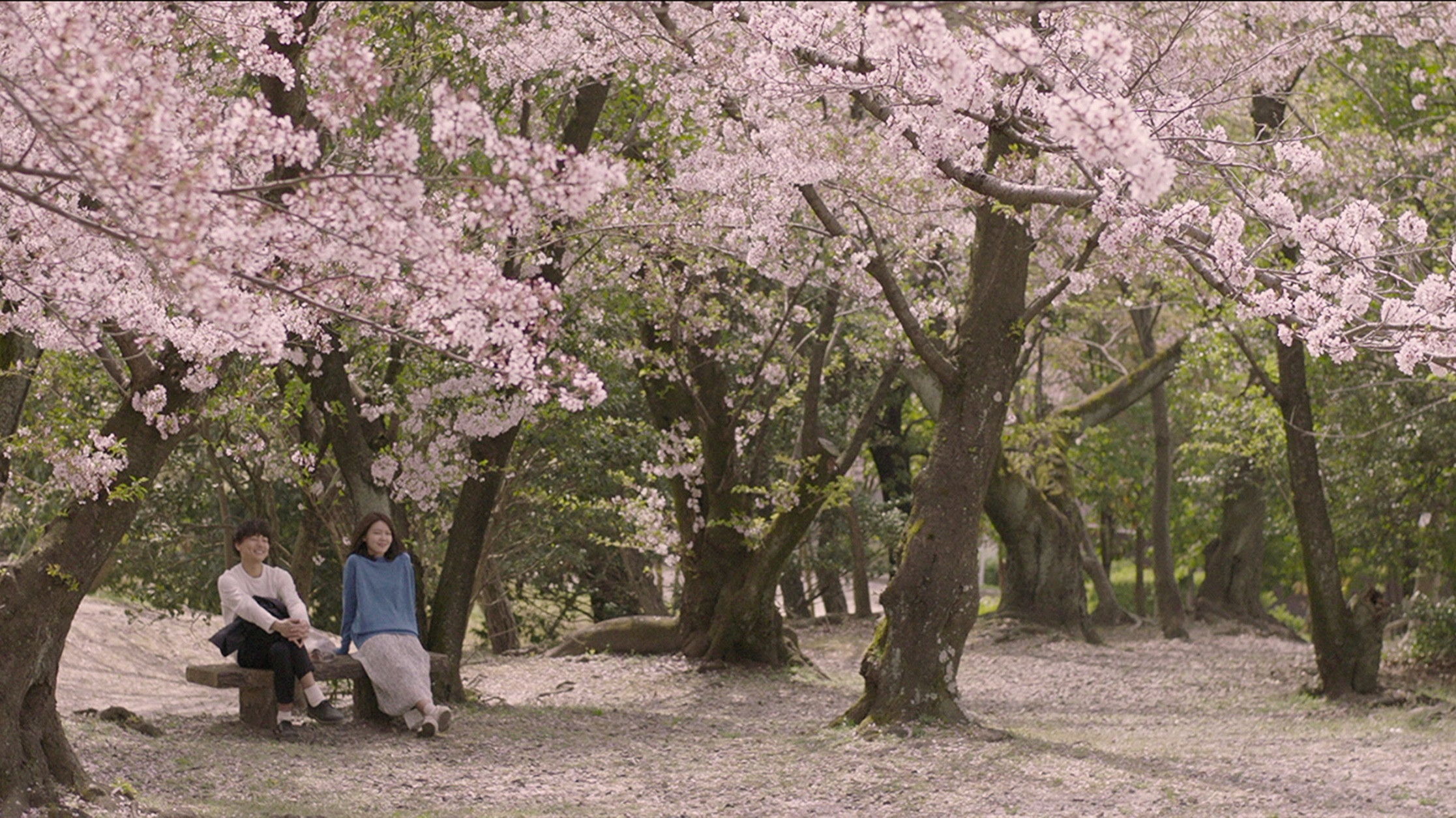 Backdrop for Memories of a Dead End