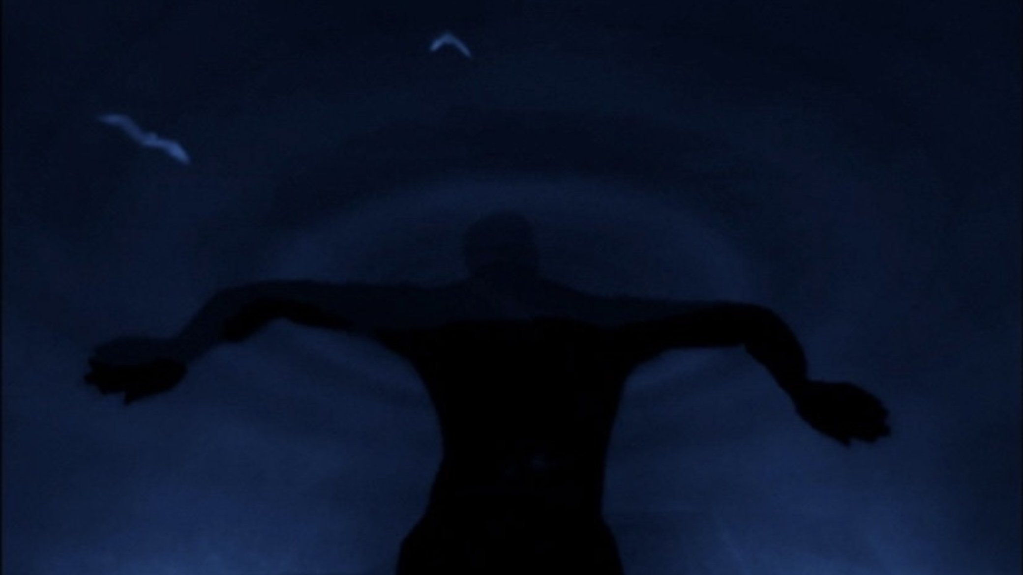 Backdrop for Rehearsals for Retirement