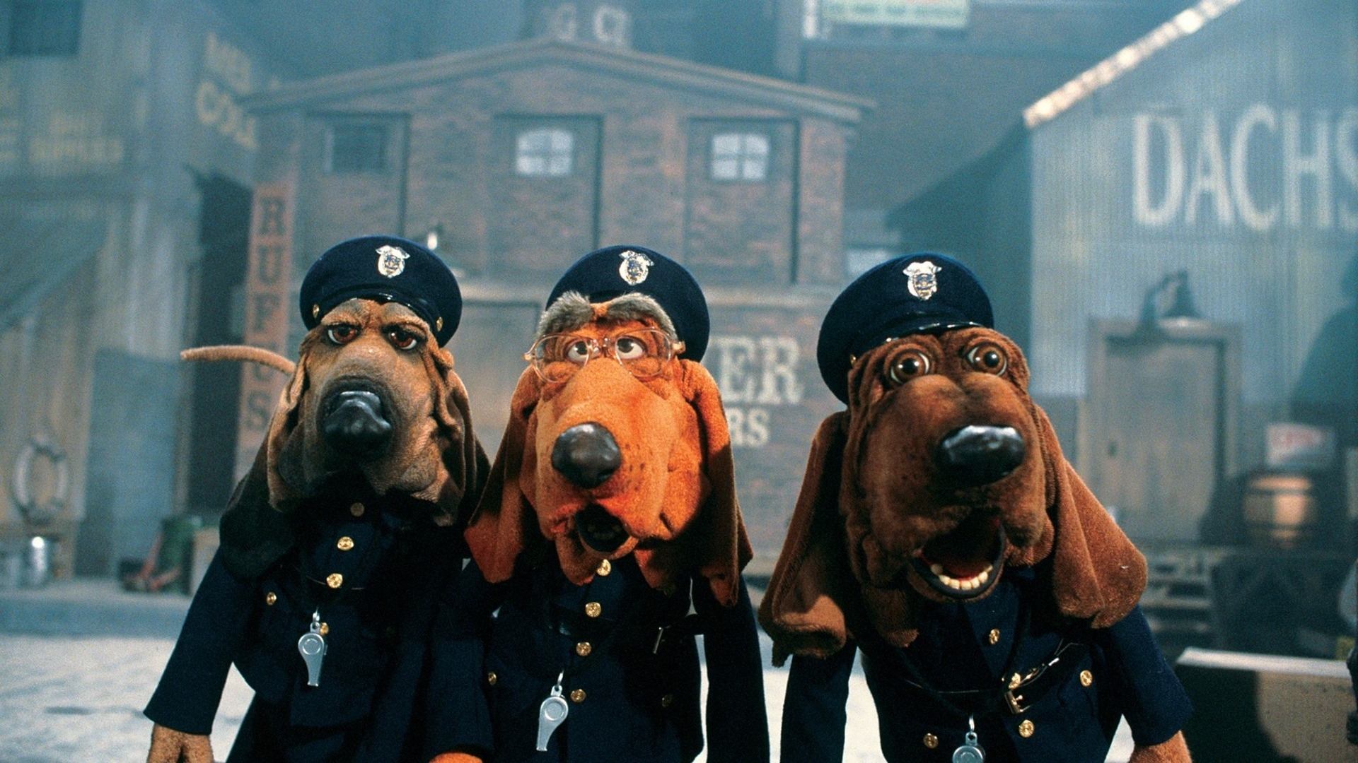 Backdrop for Dog City: The Movie