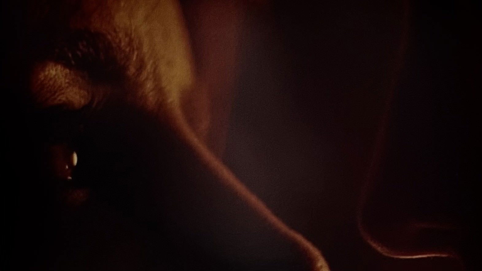 Backdrop for Turquoise Boy