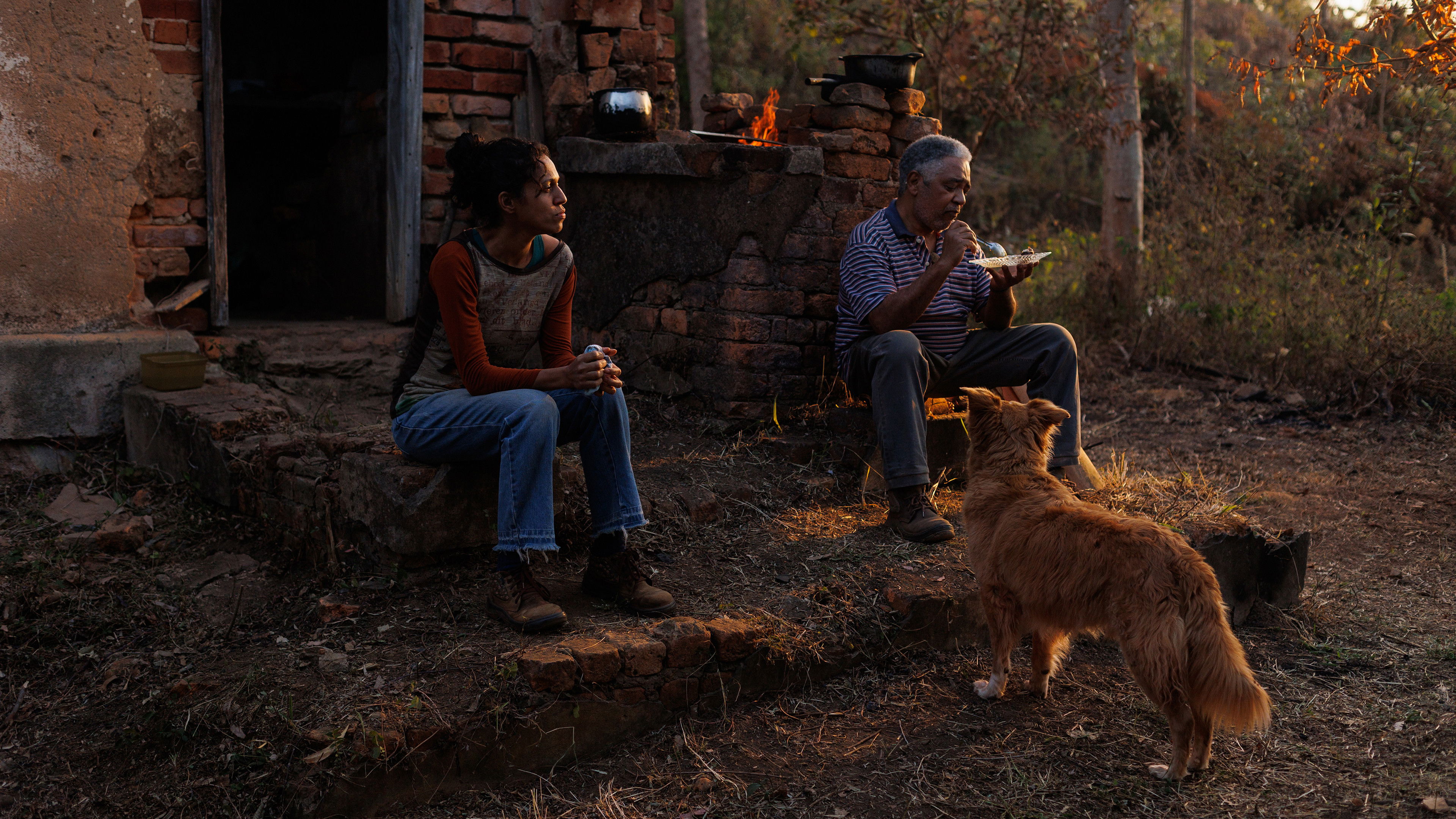 Backdrop for Suçuarana