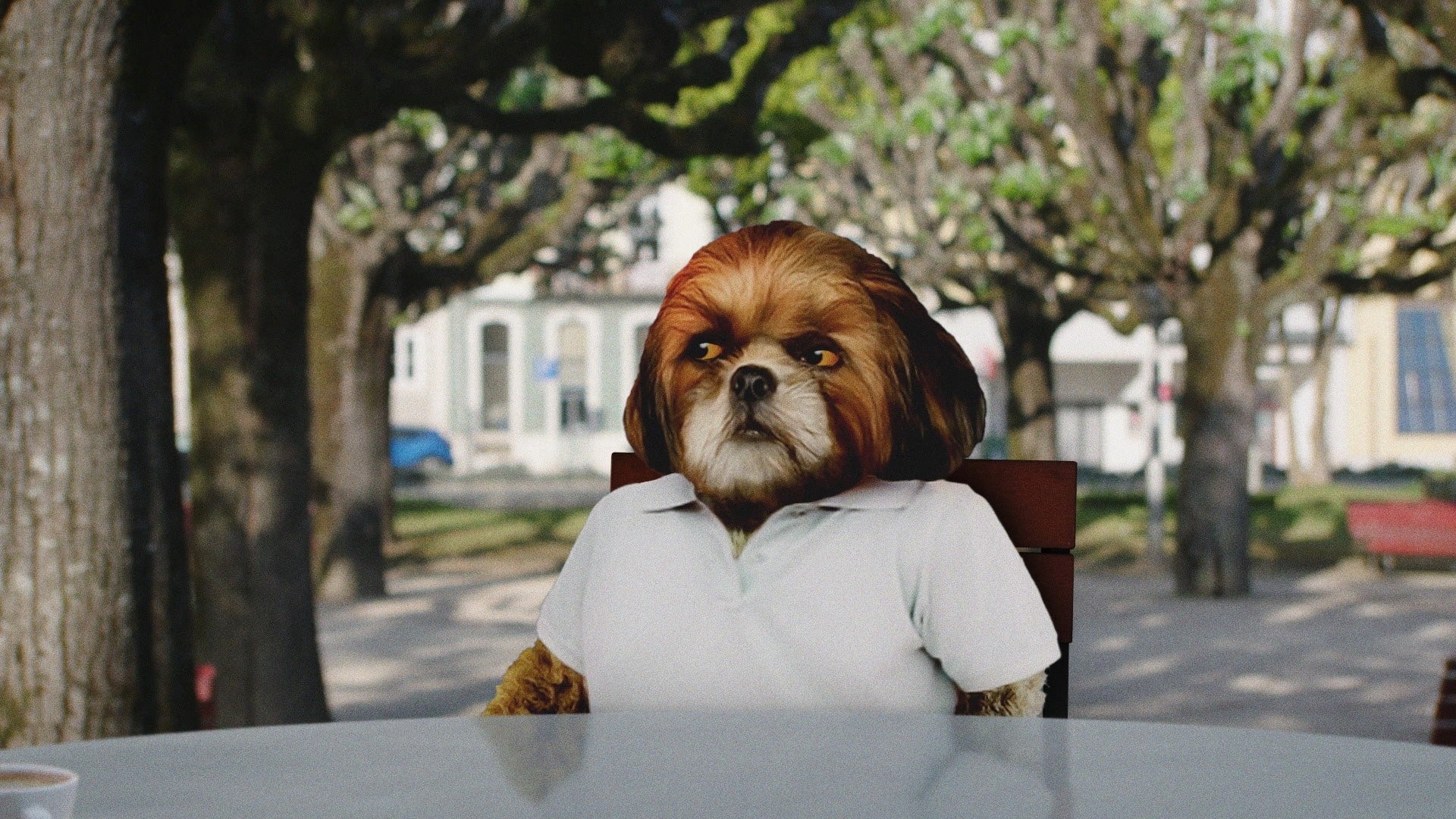 Backdrop for Bruno Aleixo's Film