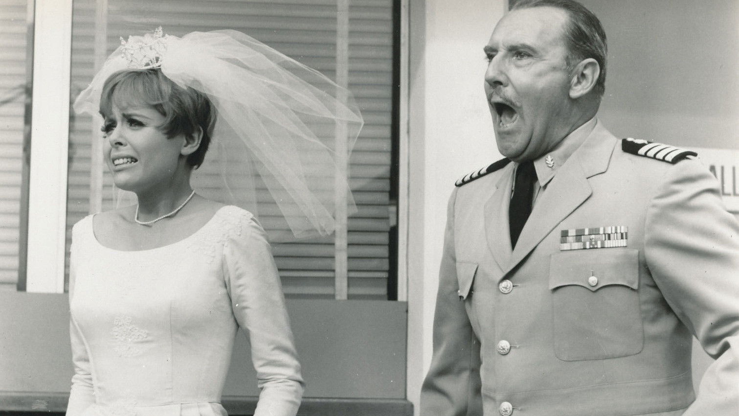 Backdrop for Sergeant Deadhead