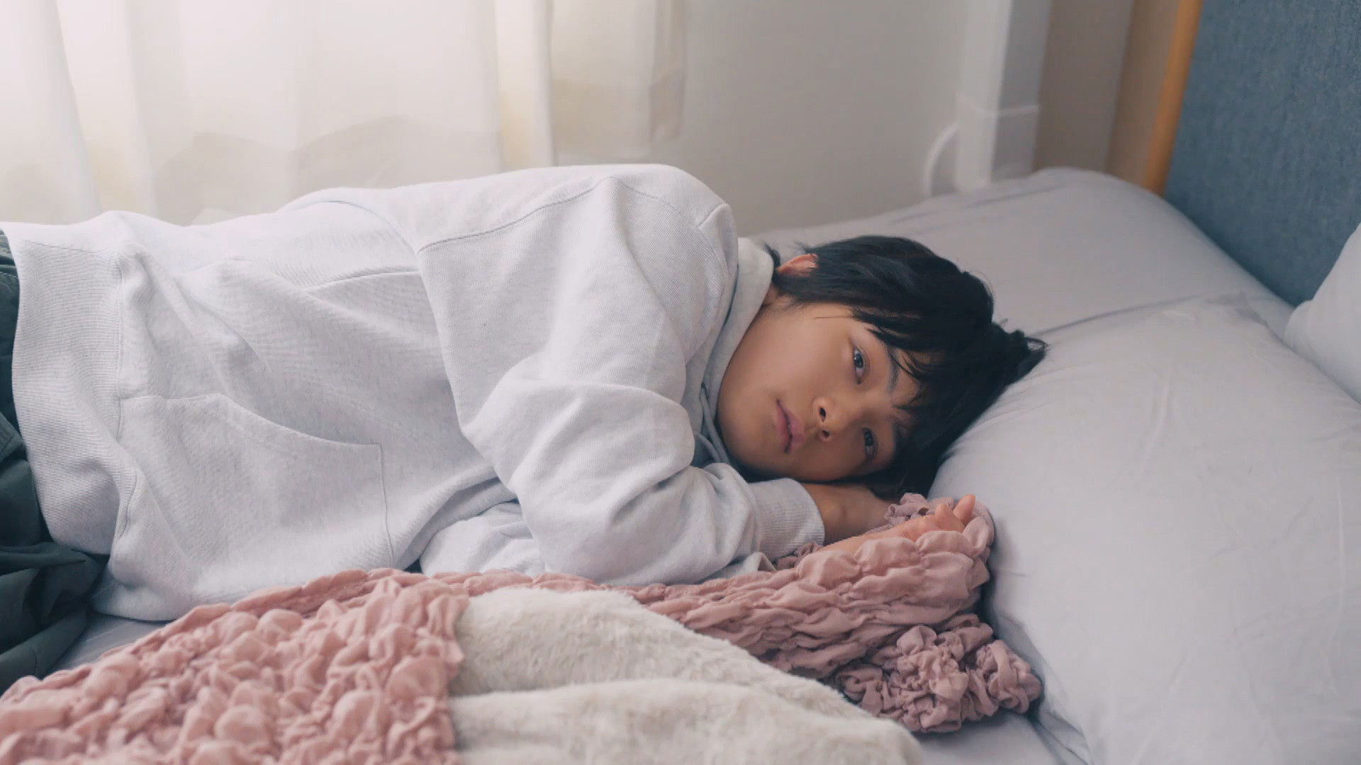 Backdrop for Taking in a Stray