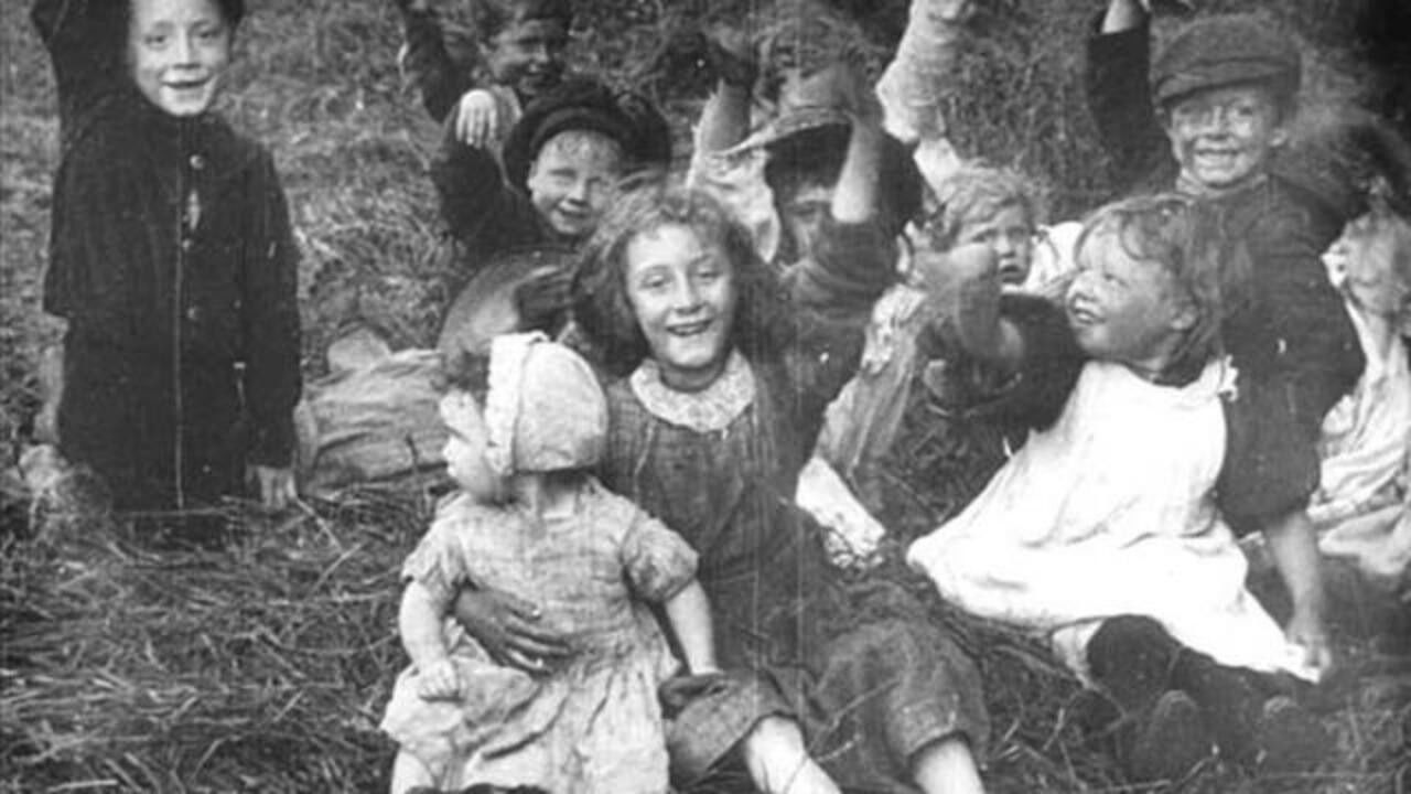 Backdrop for A Day in the Hayfields