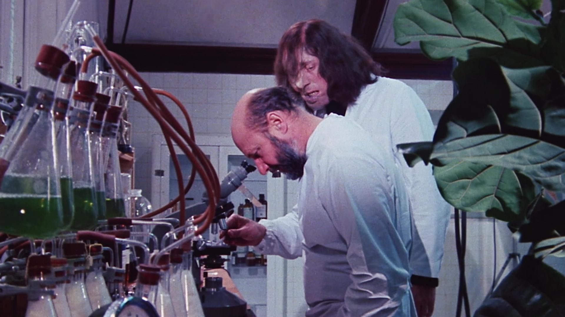 Backdrop for The Mutations