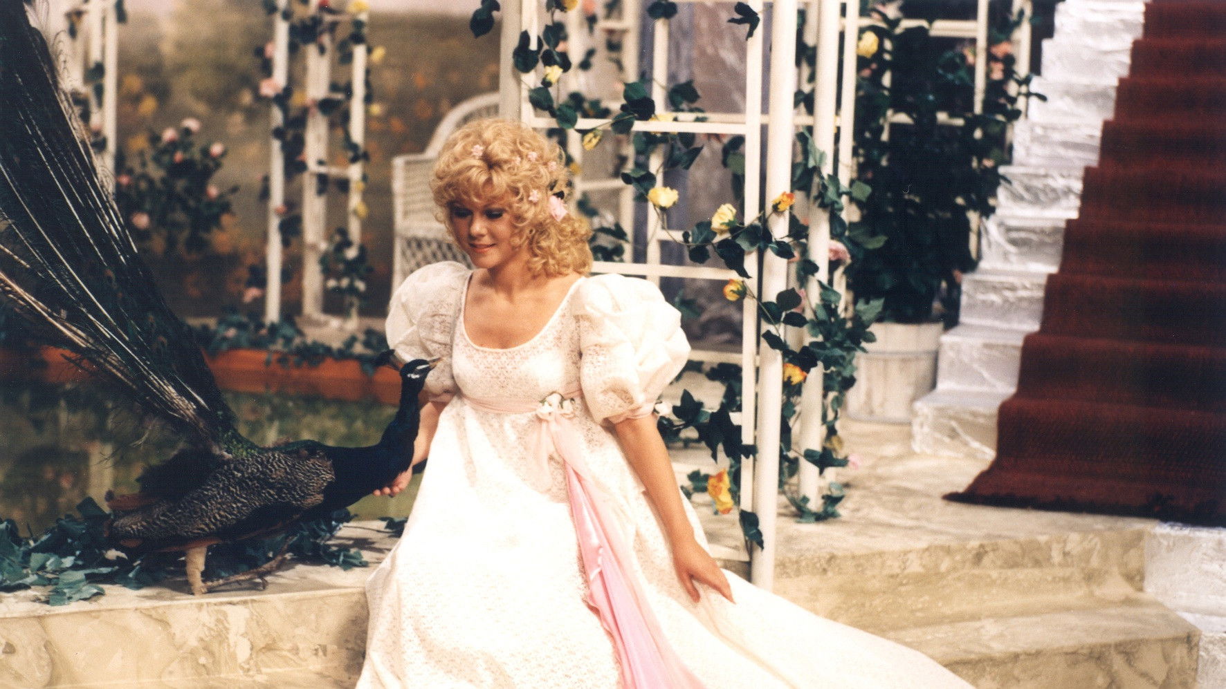 Backdrop for Paví král