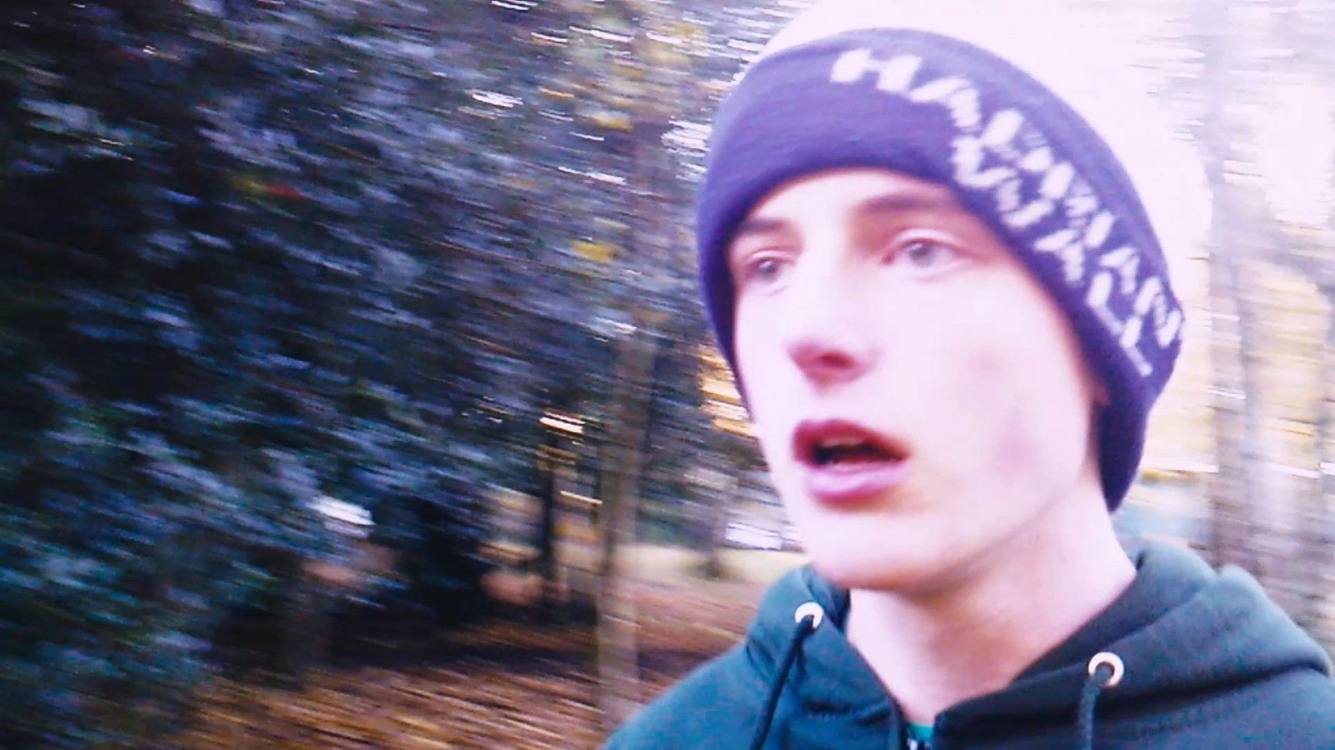 Backdrop for The Terror of Whippendell Wood: Part 3: The Madness