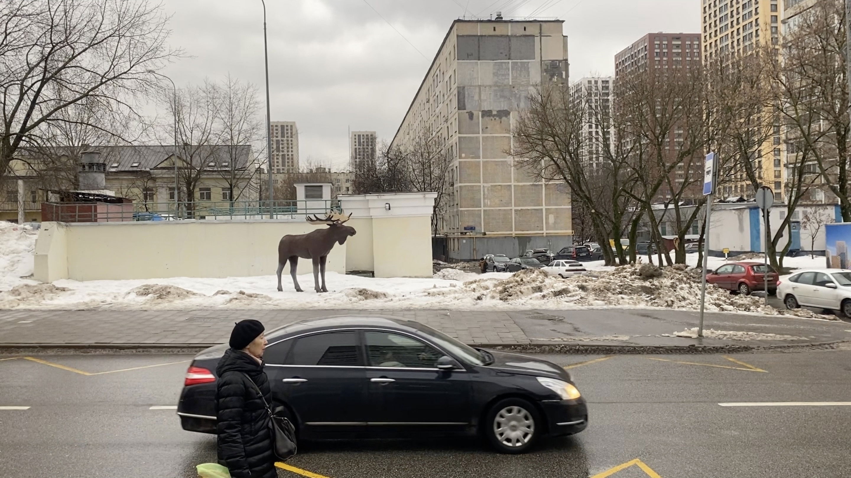 Backdrop for ZERNOV-PROJECT