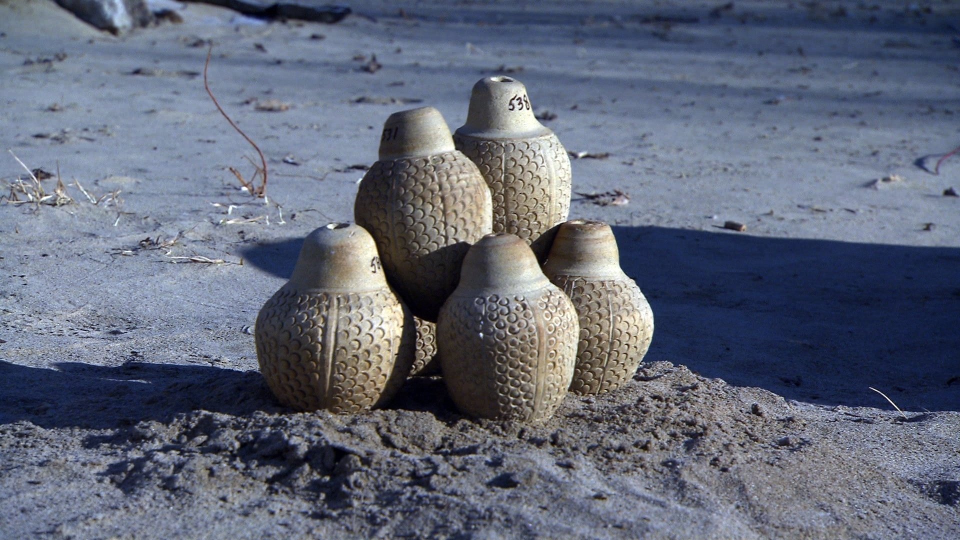 Backdrop for Museum Secrets