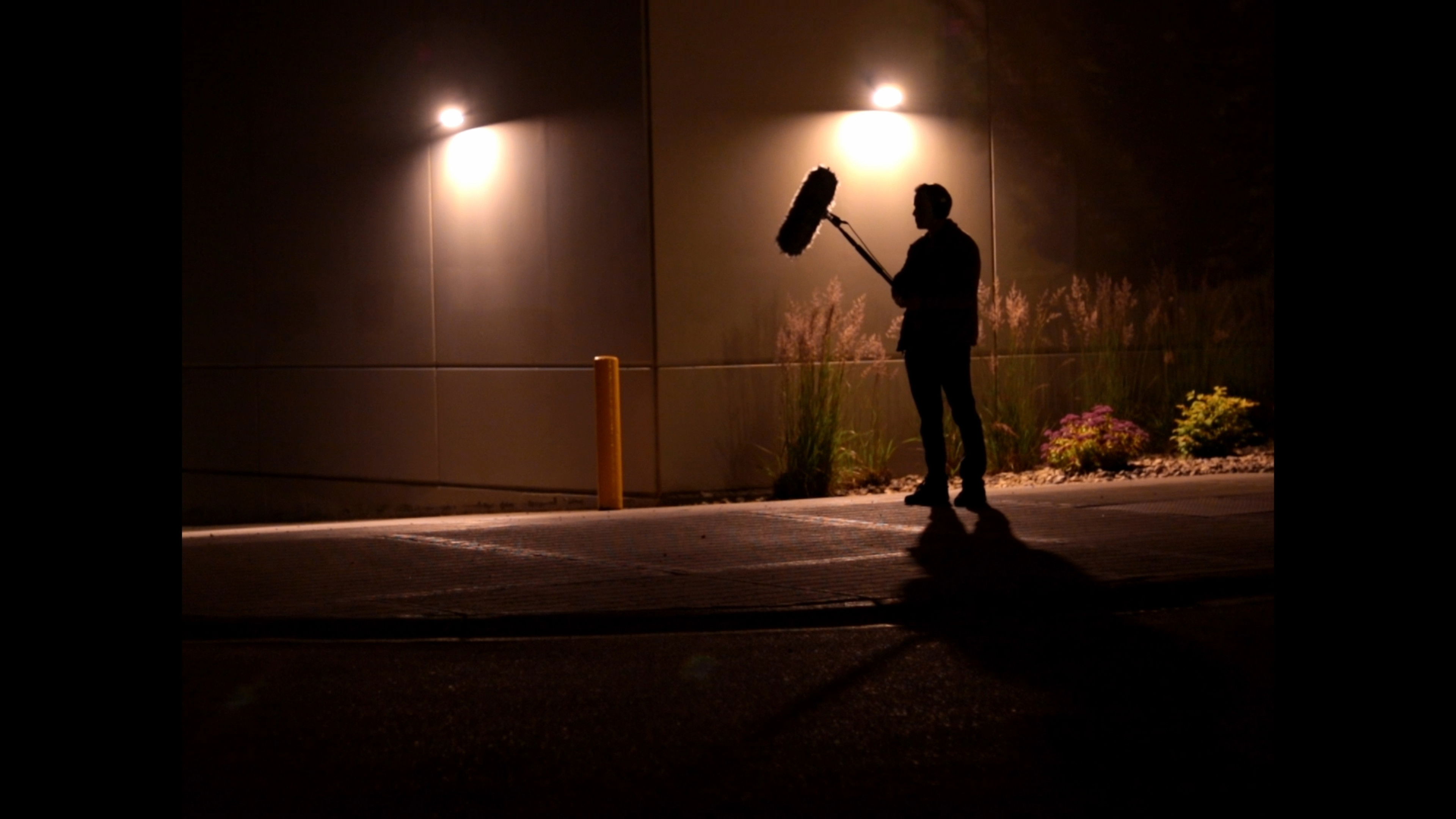 Backdrop for Ambience for the Parking Lot