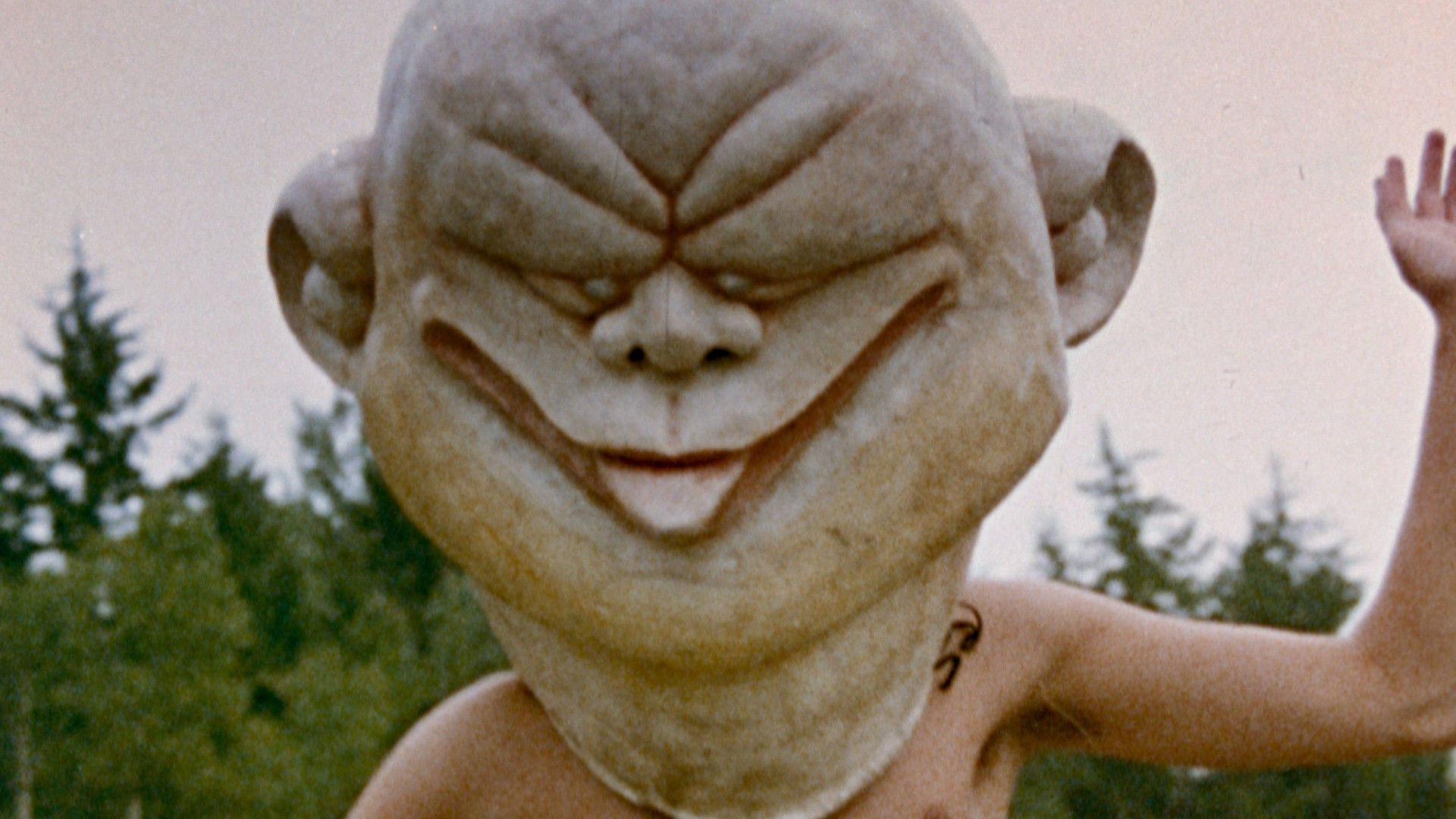 Backdrop for The Meadows Green