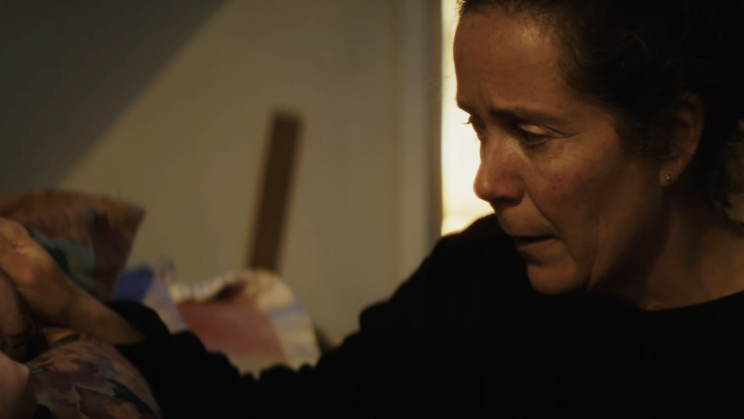 Backdrop for The Caricature: Holly Jolly Christmas