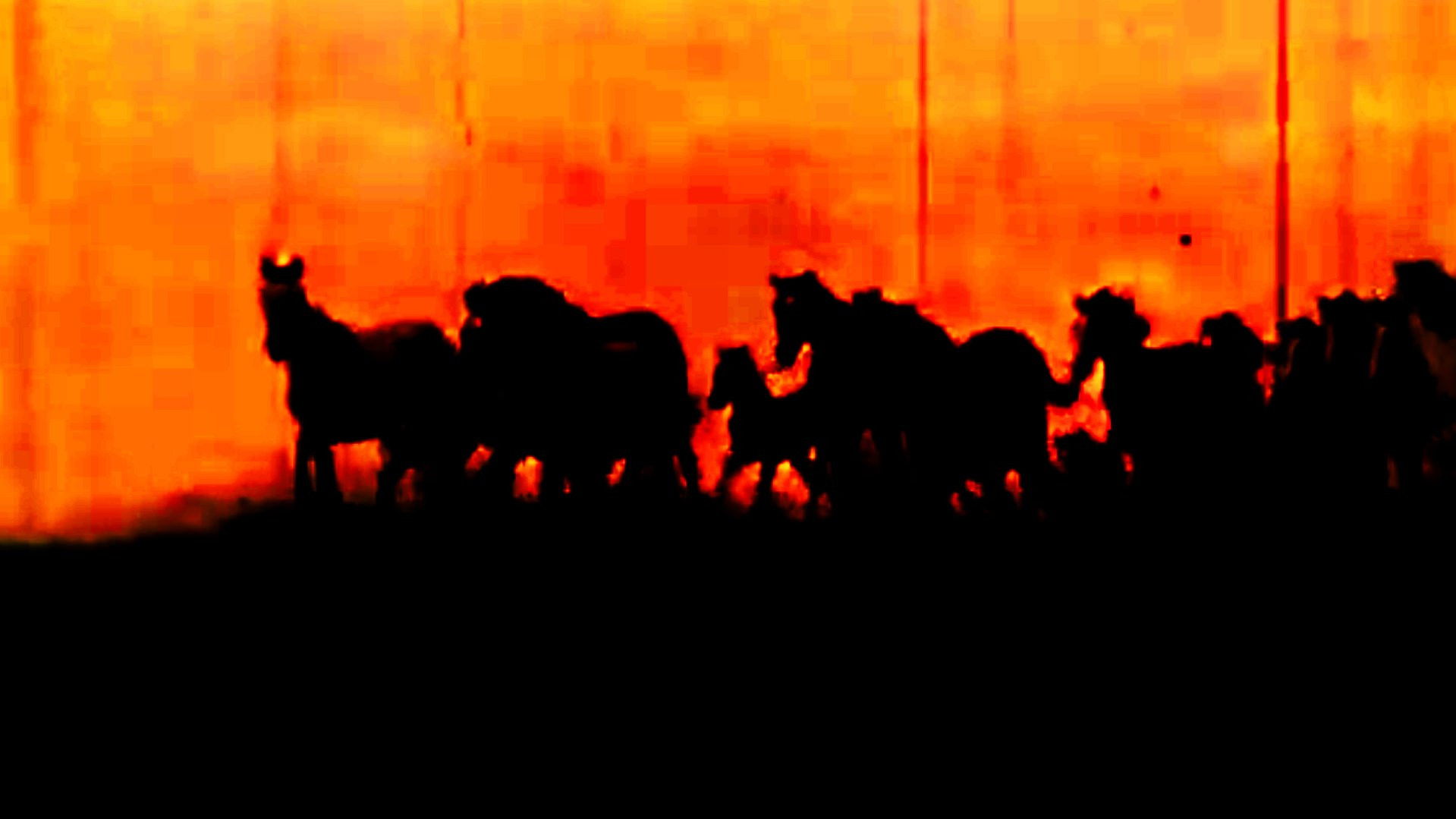 Backdrop for Naughty America: Guns & Stripes